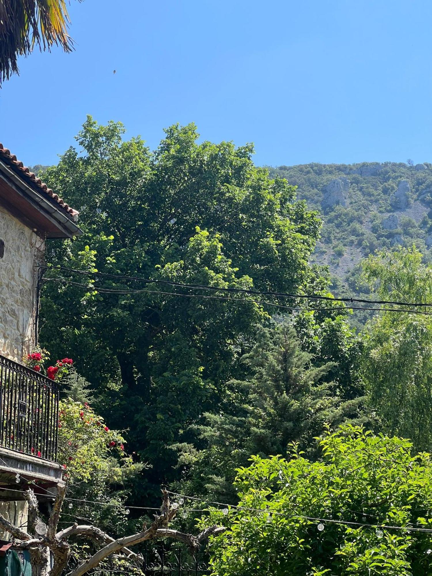 Palacio De Los Alvarado En Las Merindades El Ribero Exterior foto
