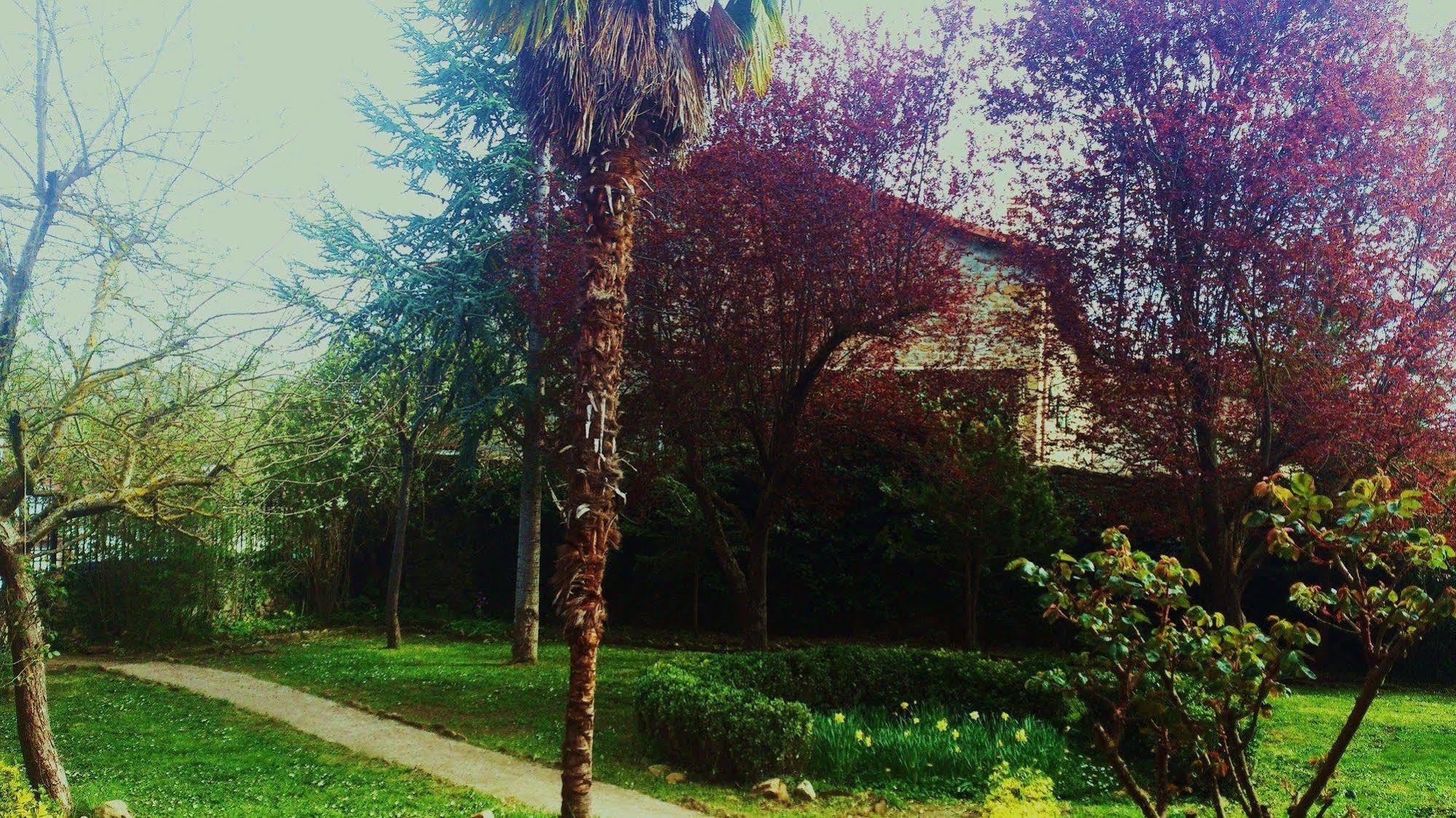 Palacio De Los Alvarado En Las Merindades El Ribero Exterior foto